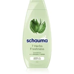 Schwarzkopf Schauma 7 Herbs bylinný šampón pre normálne až mastné vlasy 400 ml