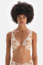 Dagi Brown Mesh Detail Unfilled Underwire Lace Bra.
