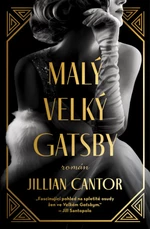 Malý velký Gatsby - Jillian Cantor - e-kniha