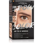 L’Oréal Paris Brow Color barva na obočí odstín 5.0 Brunette 1 ks
