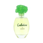 Grès Cabotine de Gres EDP 100 ml W