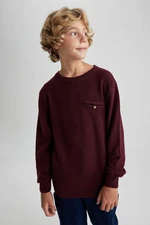 DEFACTO Boy Regular Fit Crew Neck Pullover