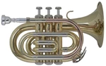 Bach PT650 Bb Bb Trumpeta