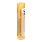 BOIRON Kalium sulfuricum CH15 4 g