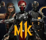 Mortal Kombat 11 - Ultimate Time Warriors Skin Pack DLC EU PS5 CD Key
