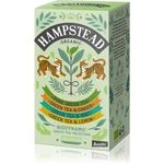Hampstead Tea London Green Tea Selection BIO porcovaný čaj 20 ks