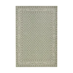 Zeleno-krémový vonkajší koberec NORTHRUGS Royal, 160 x 230 cm