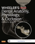 Wheeler's Dental Anatomy, Physiology and Occlusion - E-Book