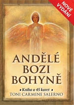 Andělé bozi bohyně - Toni Carmine Salerno