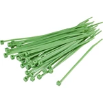 TRU COMPONENTS 1593702 TC-KL20WEZ-30M203 sťahovacie pásky 203 mm 4.60 mm zelená  100 ks