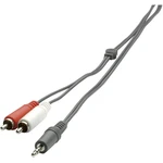 SpeaKa Professional SP-1300360 cinch / jack audio prepojovací kábel [2x cinch zástrčka - 1x jack zástrčka 3,5 mm] 2.00 m