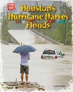 Houstonâs Hurricane Harvey Floods