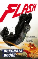 Flash Dokonalá bouře - Joshua Williamson
