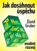 Jak dosáhnout úspěchu - David Gruber - e-kniha