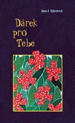 Dárek pro tebe - Jana Sýkorová