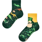 Many Mornings Dětské ponožky The Dinosaurs 23-26