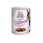 Brit Care Cat Snack Superfruits Salmon 100g