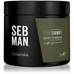 Sebastian Professional SEB MAN The Dandy pomáda na vlasy pre prirodzenú fixáciu 75 ml