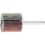 Vějířová bruska NA KŮŇ PFERD 44411126 Průměr 30 mm