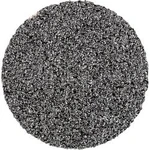 Brusný list PFERD 42754503 Zrnitost 36, (Ø) 50 mm, 100 ks