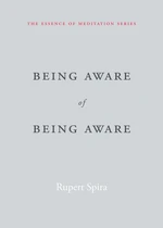Being Aware of Being Aware