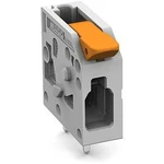Svorkovnice pro tiskárny WAGO 2604-1101 2604-1101, 4 mm², Pólů 1, 1 ks