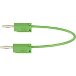 Stäubli LK205 merací kábel [lamelový zástrčka 2 mm  - lamelový zástrčka 2 mm ] 15.00 cm zelená 1 ks