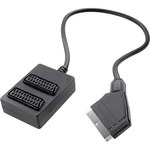 SpeaKa Professional SCART TV, monitor Y adaptér [1x zástrčka scart - 2x zásuvka SCART] 20.00 cm čierna