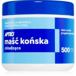 Apteo Koňská mast s chladivým účinkem gel s chladivým účinkem 500 ml