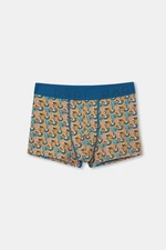 Dagi Boxer