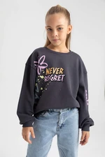 DEFACTO Regular Fit Crew Neck Sweatshirt