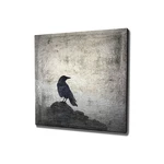 Obraz na płótnie Black Bird, 45x45 cm
