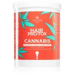 Kallos Hair Pro-Tox Cannabis regeneračná maska na vlasy s konopným olejom 1000 ml Kallos Hair Pro-Tox Cannabis regeneračná maska na vlasy s konopným olejom 1000 ml