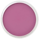 PanPastel 9ml – 430.3 Magenta Shade