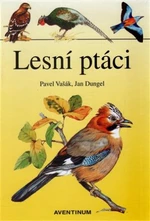 Lesní ptáci - Pavel Vašák, Jan Dungel