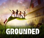 Grounded EU Steam Altergift