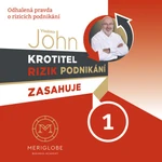 Krotitel rizik podnikání zasahuje - Autosalon - Vladimír John - audiokniha