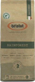 Bristot Rainforest