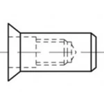 TOOLCRAFT Výrobek 88481, galvanicky pozinkovaná ocel, kulatý, Blindniet-Muttern, tvrzené a vodotěsné Nietungen delta pro vzduch, rozměry: M 6 /1,5 -4,