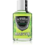 Marvis Concentrated Mouthwash koncentrovaná ústní voda pro svěží dech Spearmint 120 ml Marvis Concentrated Mouthwash koncentrovaná ústní voda pro svěží dech Spearmint 120 ml