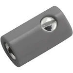 Kahlert Licht  mini laboratórne zásuvka zásuvka, rovná Ø pin: 2.6 mm sivá 1 ks