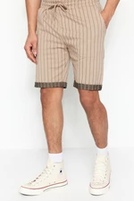 Trendyol Beige Men's Regular Mid-Length/Regular Cut Striped Shorts.