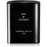 Cereria Mollá Boutique Fig & Citrus vonná sviečka 230 g