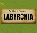 The World of Labyrinths: Labyronia Steam CD Key