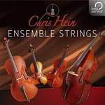 Best Service Chris Hein Ensemble Strings (Produkt cyfrowy)