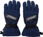 Spyder Mens Overweb GTX Ski Gloves True Navy M Guantes de esquí