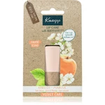 Kneipp Apricot & Marula balzám na rty 4,7 g