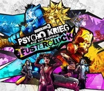 Borderlands 3 - Psycho Krieg and the Fantastic Fustercluck DLC EU Steam CD Key