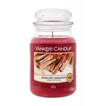 Yankee Candle Sparkling Cinnamon 623 g vonná sviečka unisex