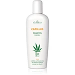 Cannaderm Capillus Seborea Shampoo bylinný šampon pro podrážděnou pokožku hlavy 150 ml